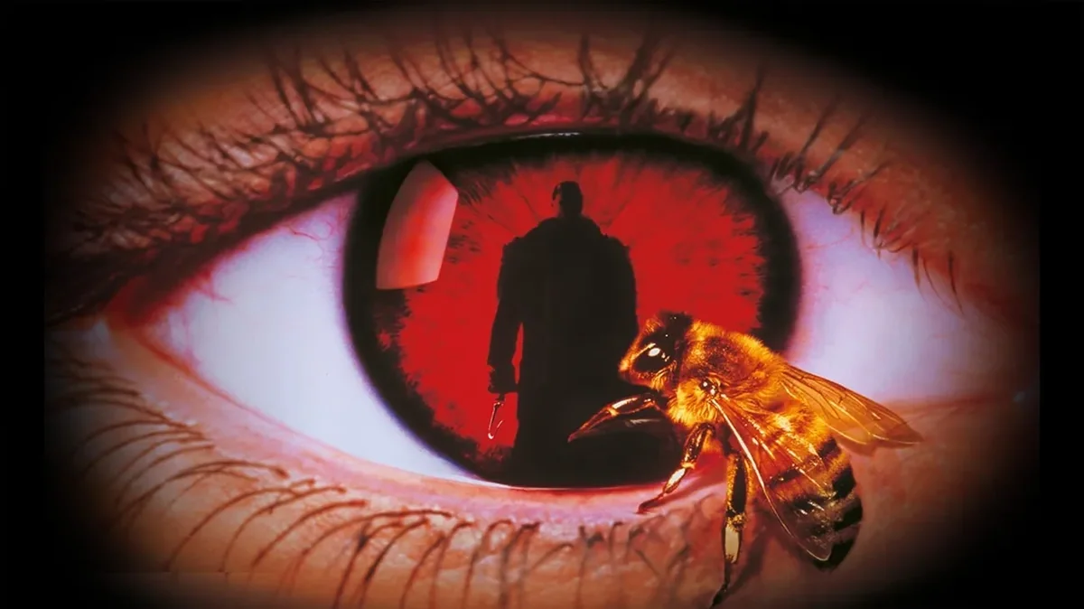 Candyman's Fluch