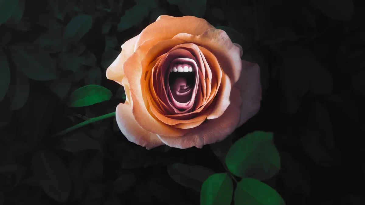 Roar - Staffel 1