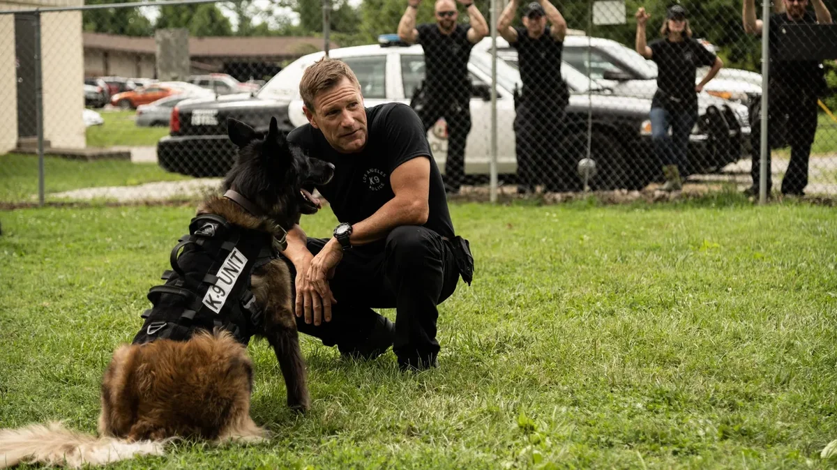 Muzzle - K-9 Narcotics Unit